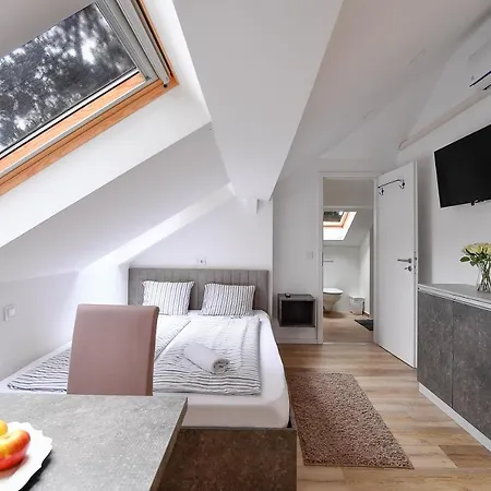 Oliver 2 * 시오포크