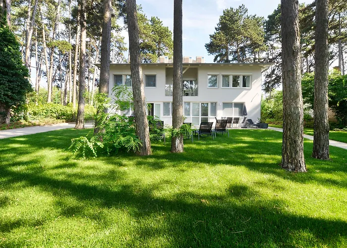 Oliver 2 * Σίοφοκ