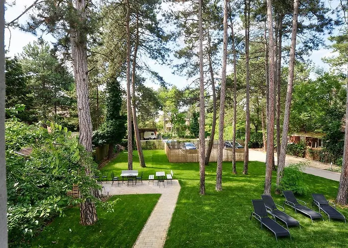 Oliver 2 Σίοφοκ