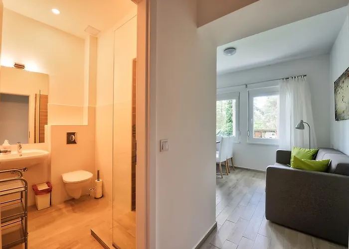 Oliver 2 Σίοφοκ